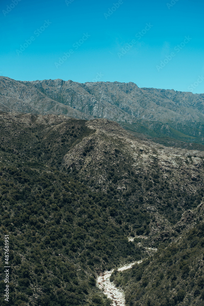 Naklejka premium nature