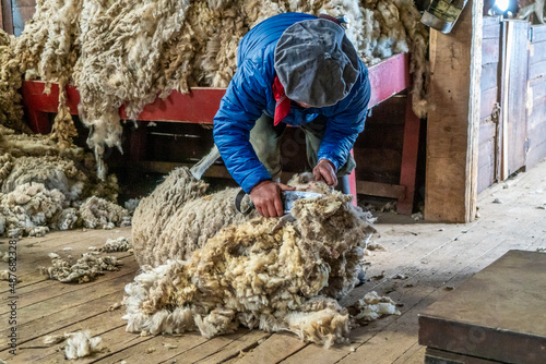 Argentina, Patagonia, a  farm worker is shearing a Patagonian sheep in an Estancia near El Calafate.  photo