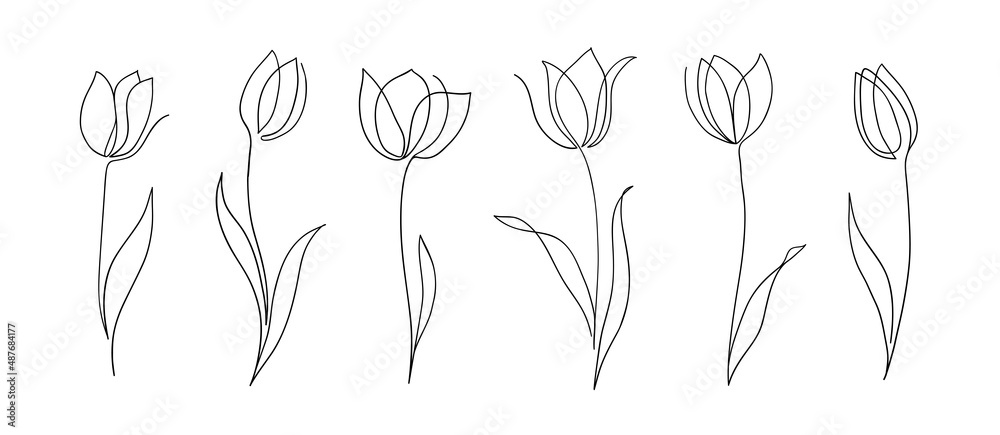 Set of one line tulips. Hand drawn contuor drowing of spring flowers. Modern single line art.