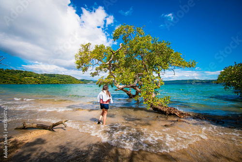 Beautiful beach view with trees and blue sky withe sand, Costa Rica.
