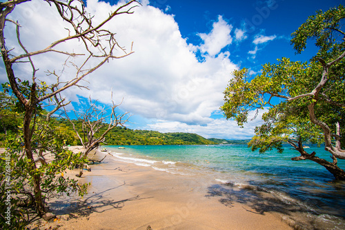 Beautiful beach view with trees and blue sky withe sand, Costa Rica.