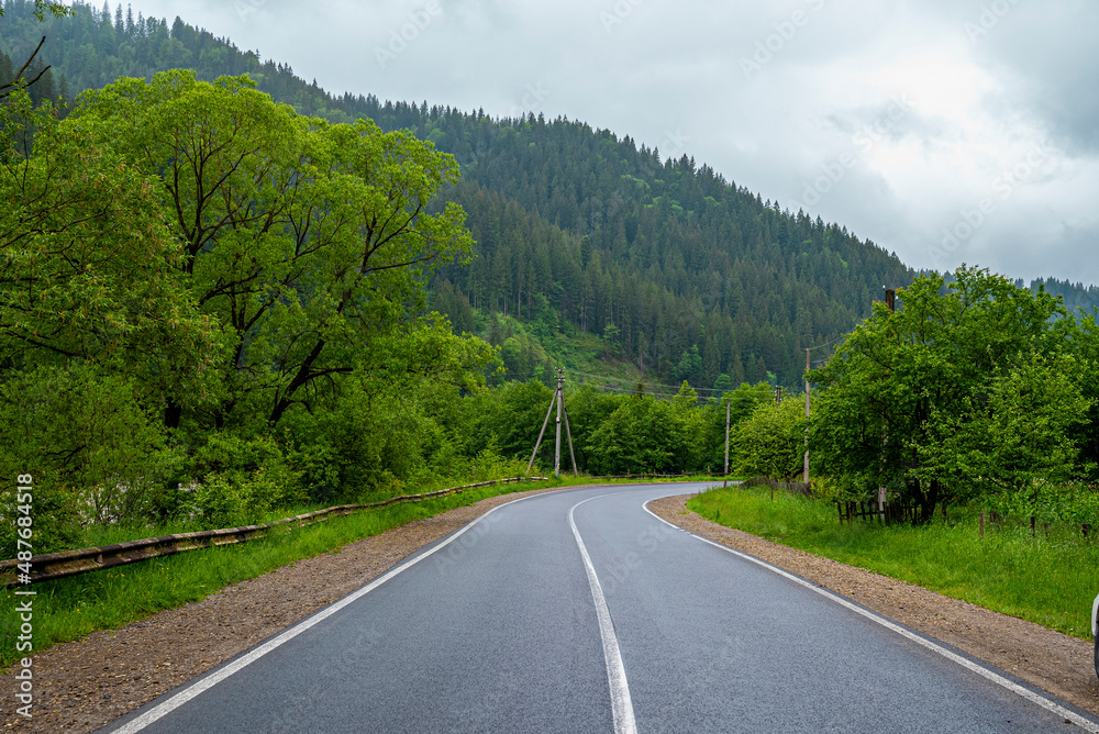 Empty highway road with white marking over dark asphalt against cloudy sky, Landscape with curved road through forest