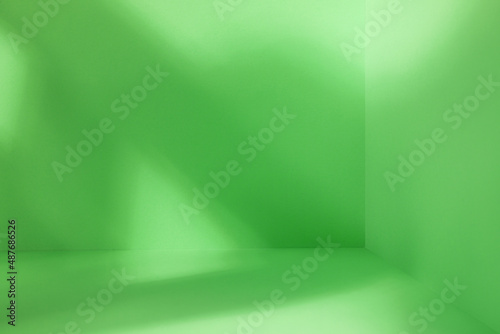 Light green room with artis...