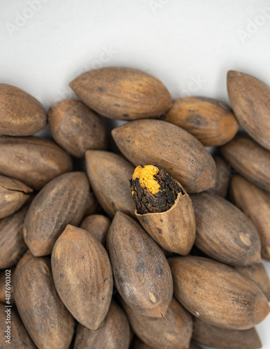 A plate of nuts, Torreya grandis photo