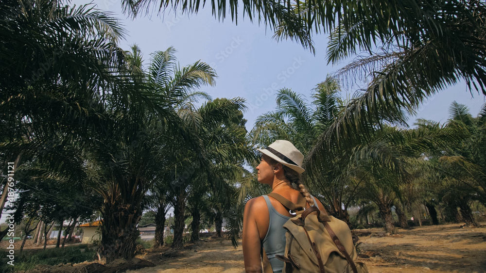 Woman tourist with plait walks looking around at growing young trees with lush leaves at oil palm farm elaeis guineensis on sunny day. Concept of exotic crop cultivation, travel to tropical countries