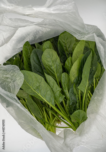 Just bought vegetables, a bag of spinach