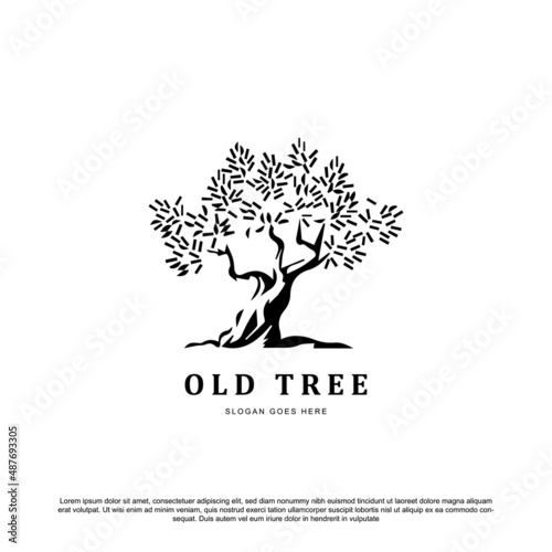 Vintage retro old oak tree logo vector