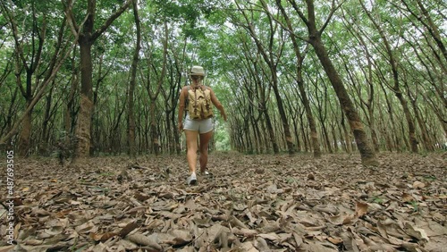 The traveler walks between trees plantation agriculture of asia for natural latex extraction milk in traditional. Young blonde woman with plait in hat walks to rubber tree. photo