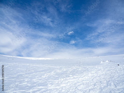 真っ白な伊吹山山頂の雪原