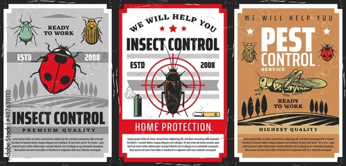 Pest control, insects extermination service vector posters. Home protection, garden and fields disinsection of lady bug, beetle, locust and cockroach with bedbug. Domestic disinfestation, pest control