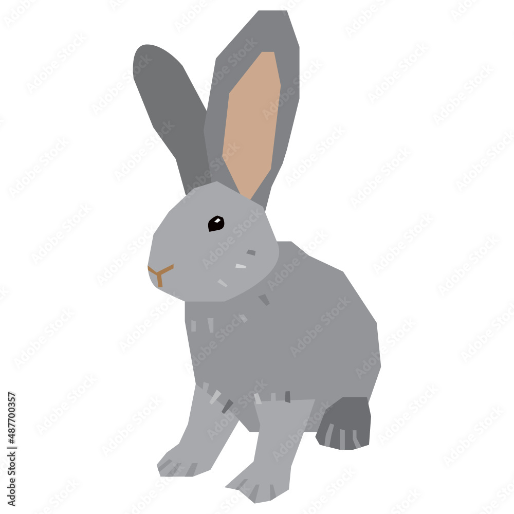 Fototapeta premium Giant Chinchilla rabbit vector illustration in flat color design