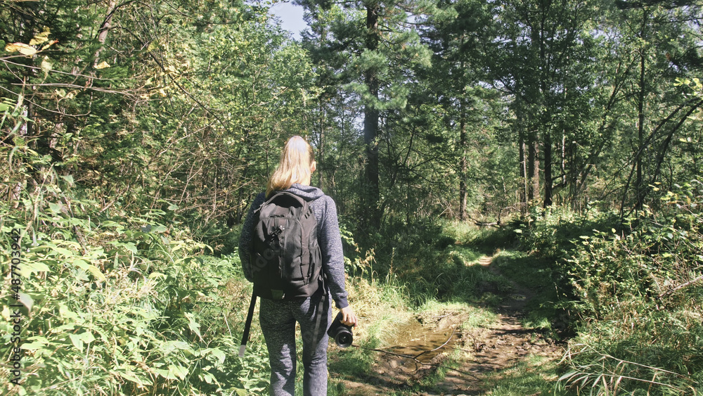 Traveler photographing scenic view in forest. One caucasian woman shooting nice magic look. Girl take photo video on dslr mirrorless camera. Professional photographer travel with backpack. Outdoor.