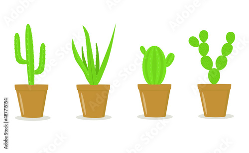 Set of cacti in pots. Isolated vector image on a white background.