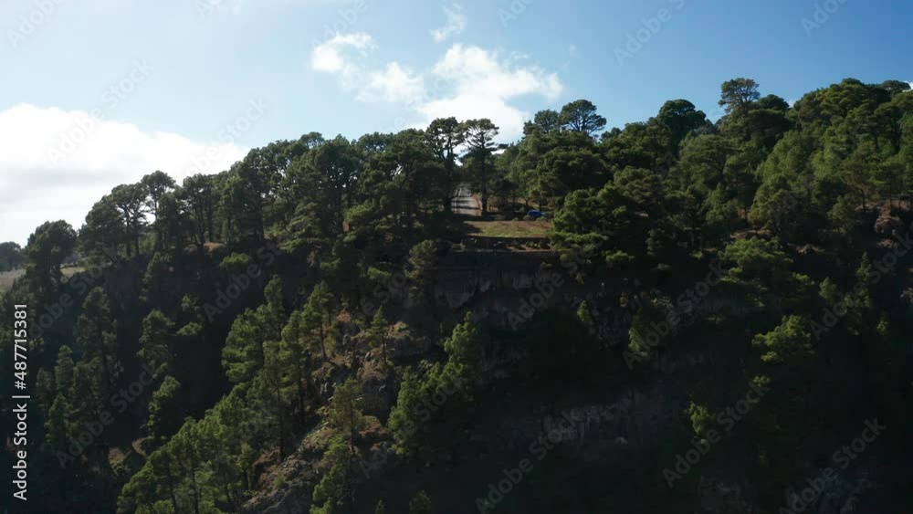 Aerial arc shot around relict pine forest viewpoint Las Playas Aerial arc shot around relict pine forest viewpoint Las Playas