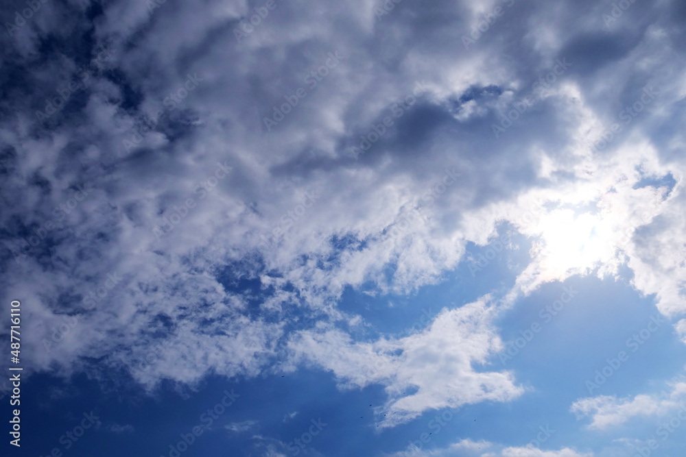 Fototapeta premium 雲間からの光と鳥の群れ