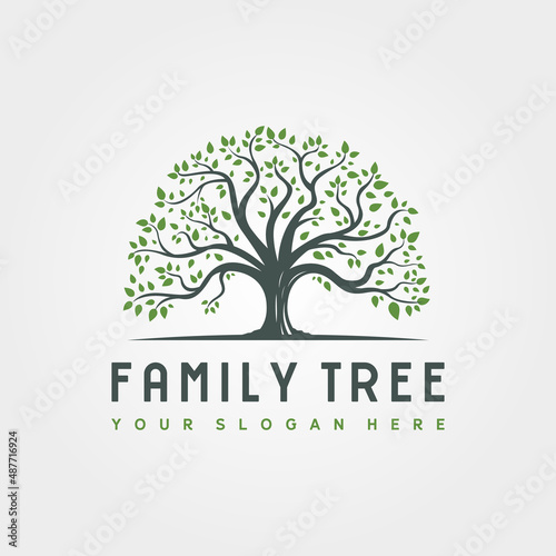 abstract root tree logo vector illustration design, family tree logo design
