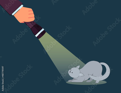 Hand of person shining flashlight on cute stray cat. Little lost or homeless kitten in light of torch flat vector illustration. Animal care, adoption, rescue concept for banner or landing web page
