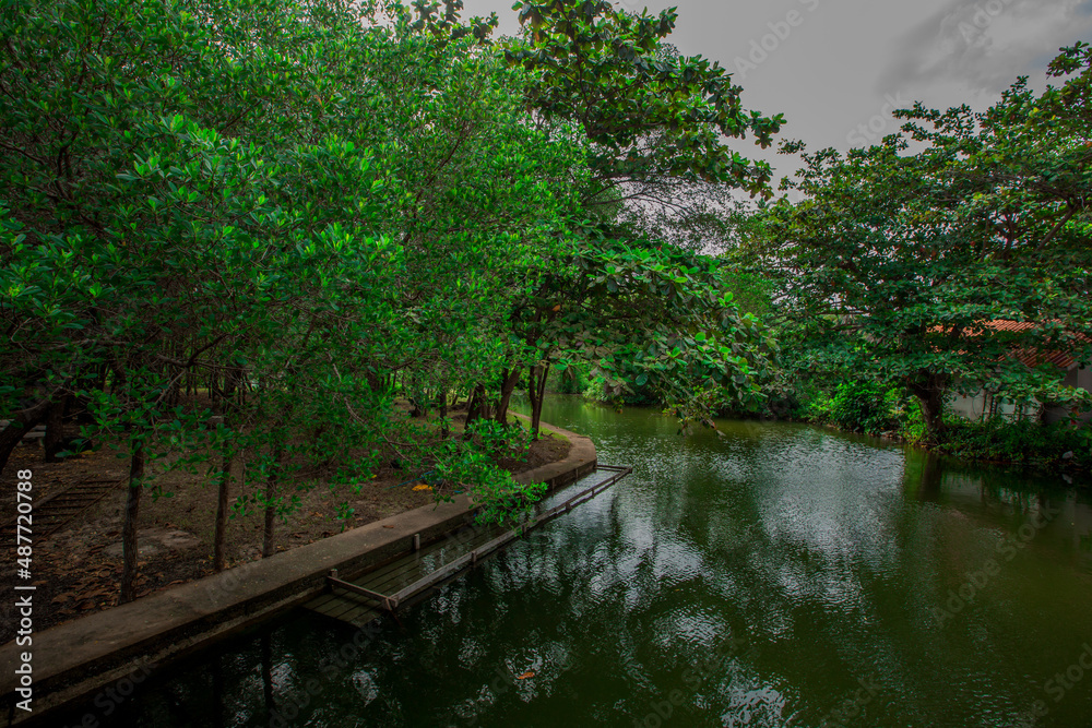 Natural scenery background, wide-angle blur of the sea, with cool breeze blowing at various viewpoints of those who love to study nature trails.
