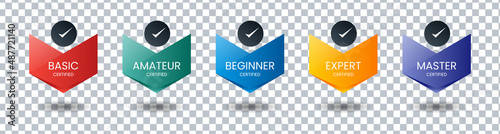 Set of bundle modern and simple colorful certified badge label logo design for Verification Standard, Business Quality Banner, Company Training Certificates, and Certified Product. Vector Illustration