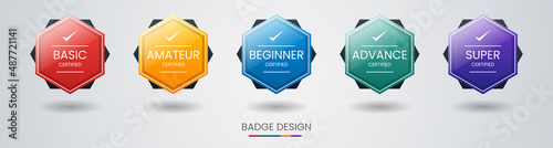 Set of bundle modern and simple colorful certified badge label logo design for Verification Standard, Business Quality Banner, Company Training Certificates, and Certified Product. Vector Illustration
