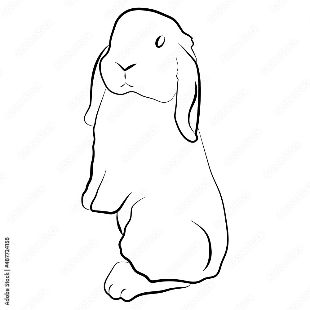 Graphic illustration cute bunny Graphic illustration cute bunny
