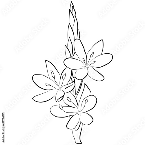decorative flower 
