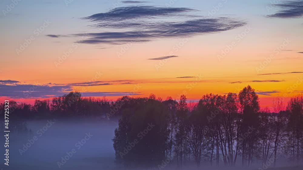 Timelapse of misty fog blowing through coniferous trees forest at dusk with the view of golden hue in the background and clouds passing by.