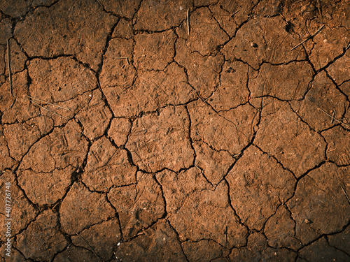 dried and cracked soil texture