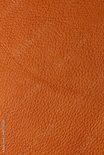 the texture of natural aniline leather of the highest quality of dressing