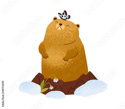 Happy cute groundhog waking up after winter hibernation in ground hole under ...