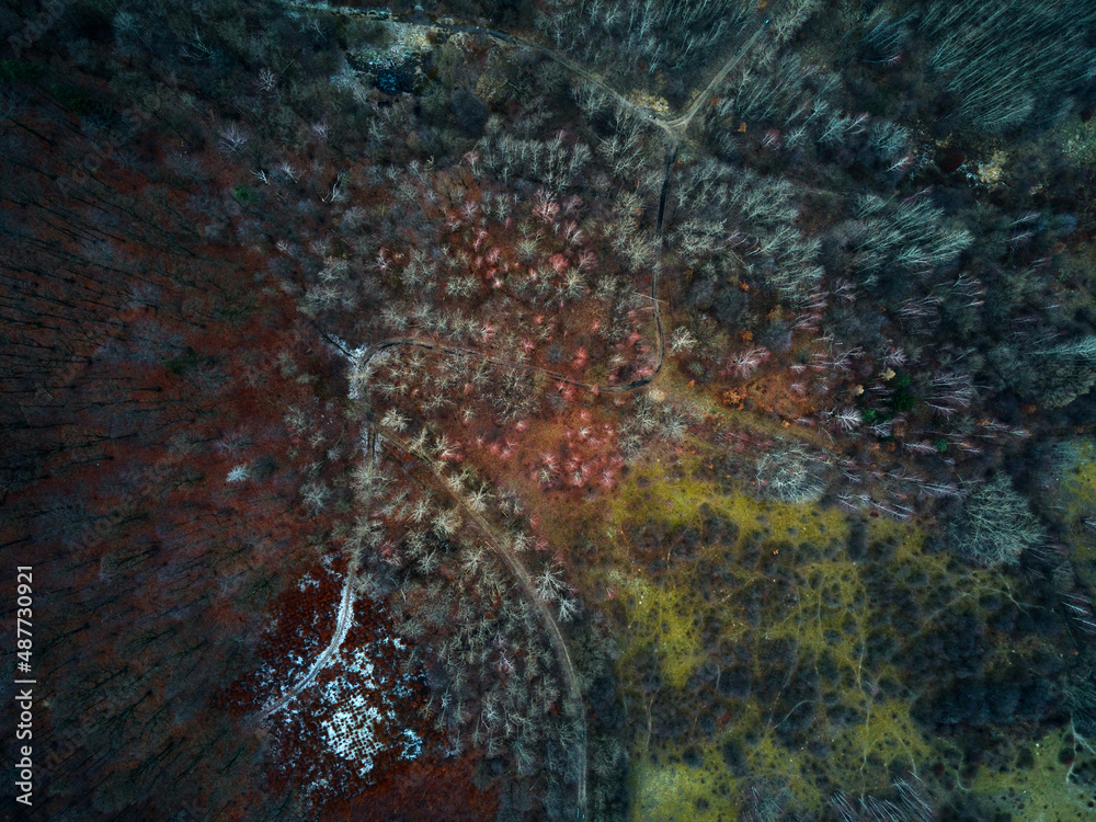 natural abstract background, colorful forest trees and ground, aerial view