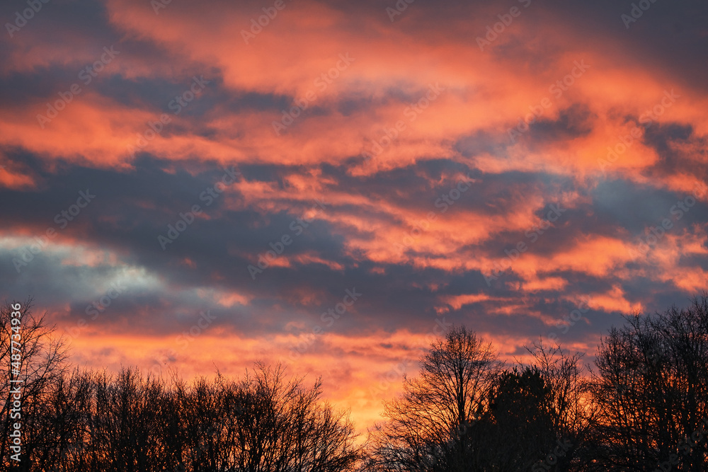 Burning sunset with fire red clouds over trees in winter Burning sunset with fire red clouds over trees in winter