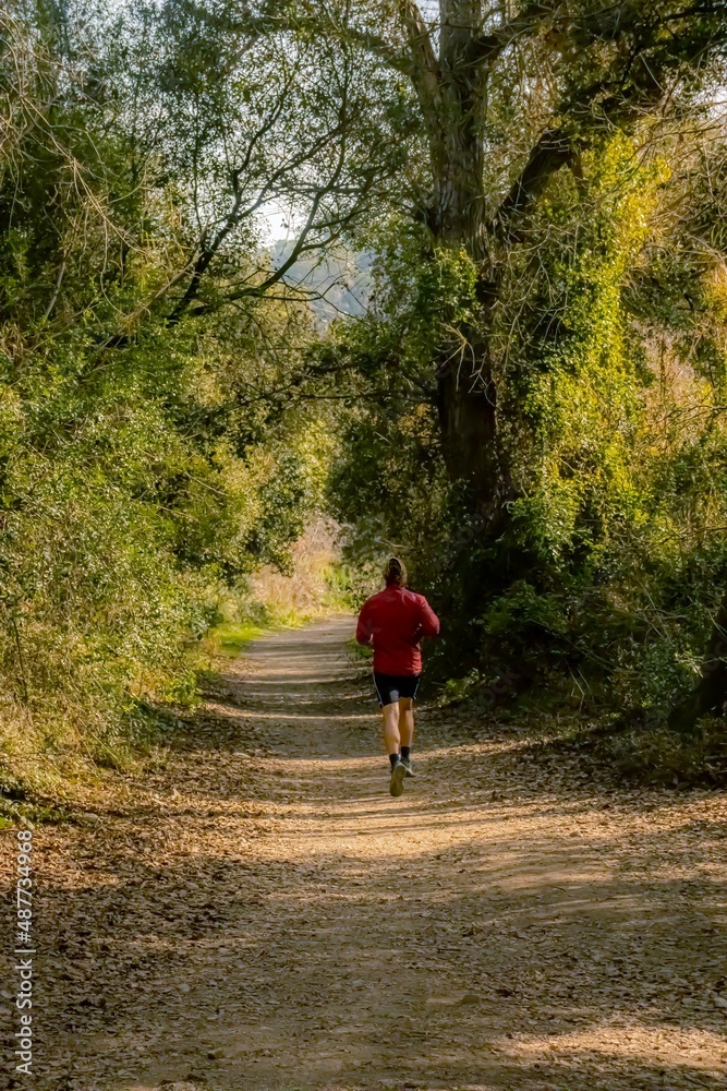 Fototapeta premium running in forest