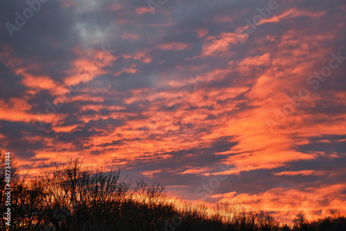 Burning sunset with fire red clouds over trees in winter