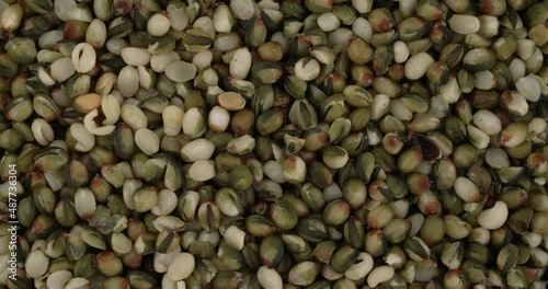Top view of hulled hemp seeds rotating. Closeup. Macro.