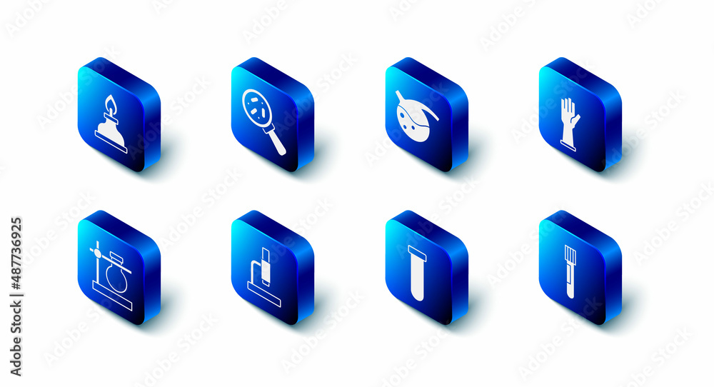 Set Microorganisms under magnifier, Test tube and flask, Medical rubber gloves, Microscope, on stand and Alcohol spirit burner icon. Vector