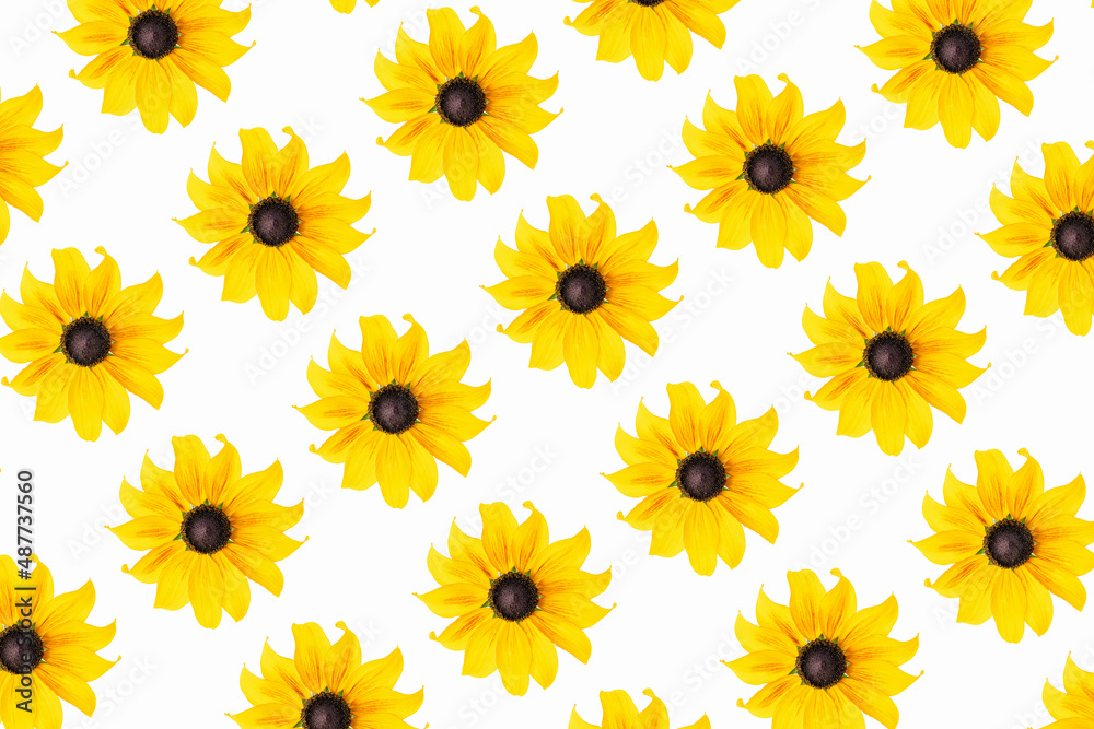Pattern of natural yellow flowers on white background, as backdrop or texture. Bright summer wallpaper. Top view Flat lay Pattern of natural yellow flowers on white background, as backdrop or texture. Bright summer wallpaper. Top view Flat lay