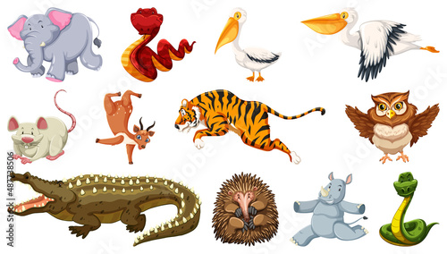 Set of different wild animals cartoon characters