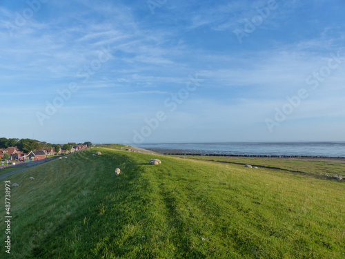 view of the coast of the river