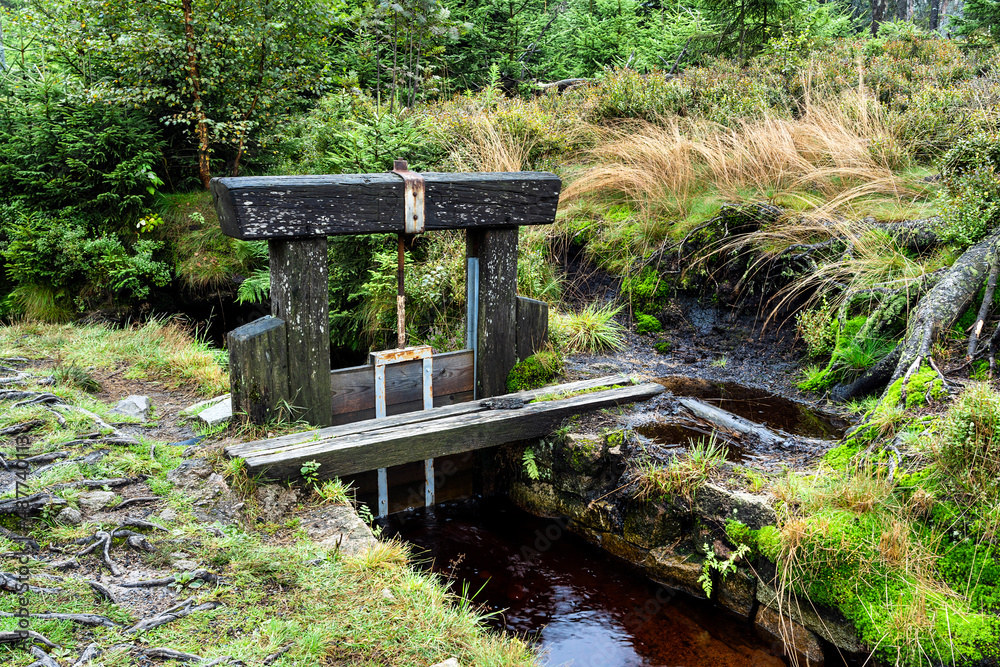 Wehranlage im Torfhausmoor im Harz