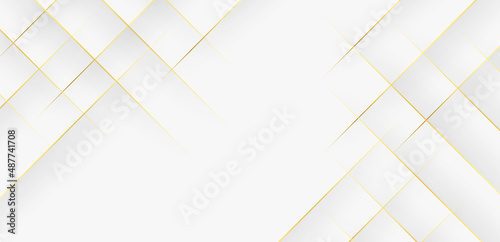 Modern abstract polygonal pattern luxury on white and gray header background with golden lines. Vector illustration