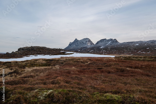 Die Berge F  lsdalsfjall und Kambur an der Bucht Vei  ileysa nahe der Ortschaft Djupavik in den isl  ndischen Westfjorden