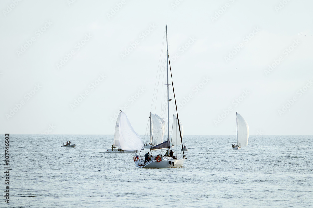 Sailing boats at sea. Sailboat management.