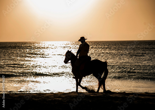 silhouette of a horse and horse riding on the sunset beach