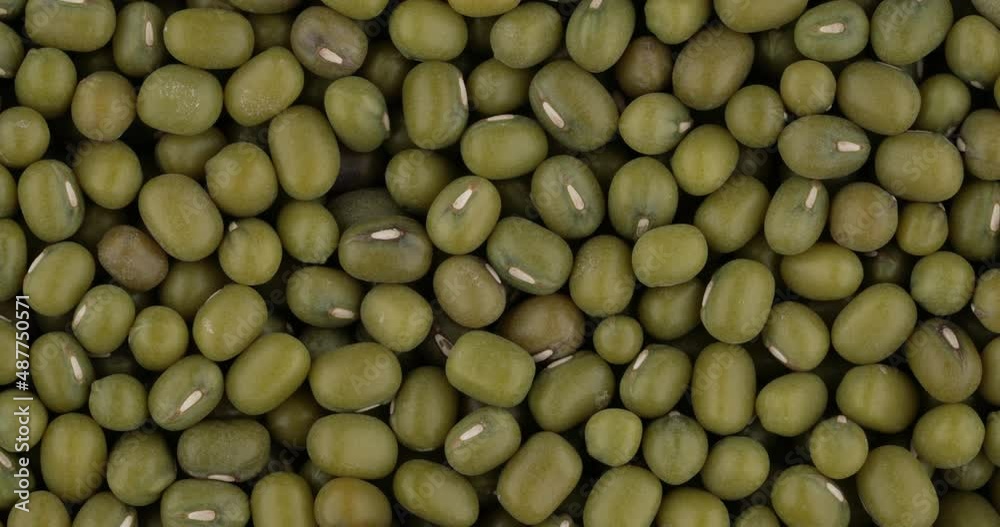 Top view of green mung beans rotating. Closeup. Macro. Top view of green mung beans rotating. Closeup. Macro.