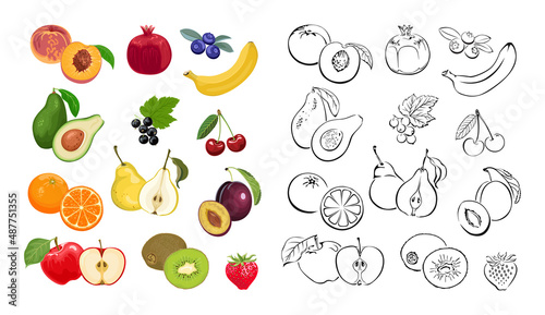 Berries and fruits vector icons set. Colored cartoon flat illustrations and outlines.