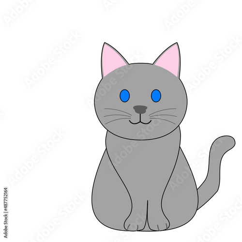 A gray stray cat with a white background 