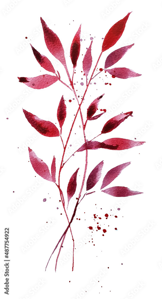 Set of watercolor design elements, leaves, red branches, botanical illustration, isolated on a transparent background
