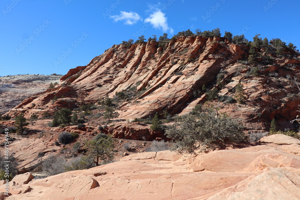 Fototapeta premium Zion Canyon, Utah