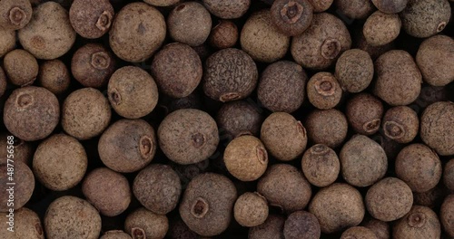Top view of whole allspice berries rotating. Closeup. Macro.